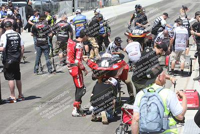 media/Apr-26-2025-BRL Bagger Racing League (Sat) [[9e270f465f]]/9-Bagger GP and Pro Stock Race/